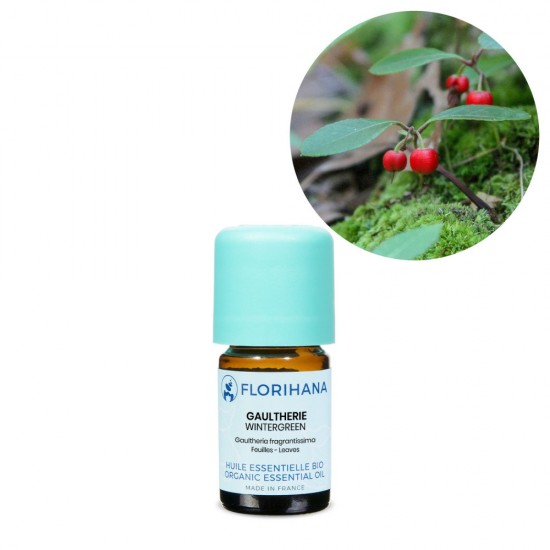Wintergreen Organic (Gaultheria)